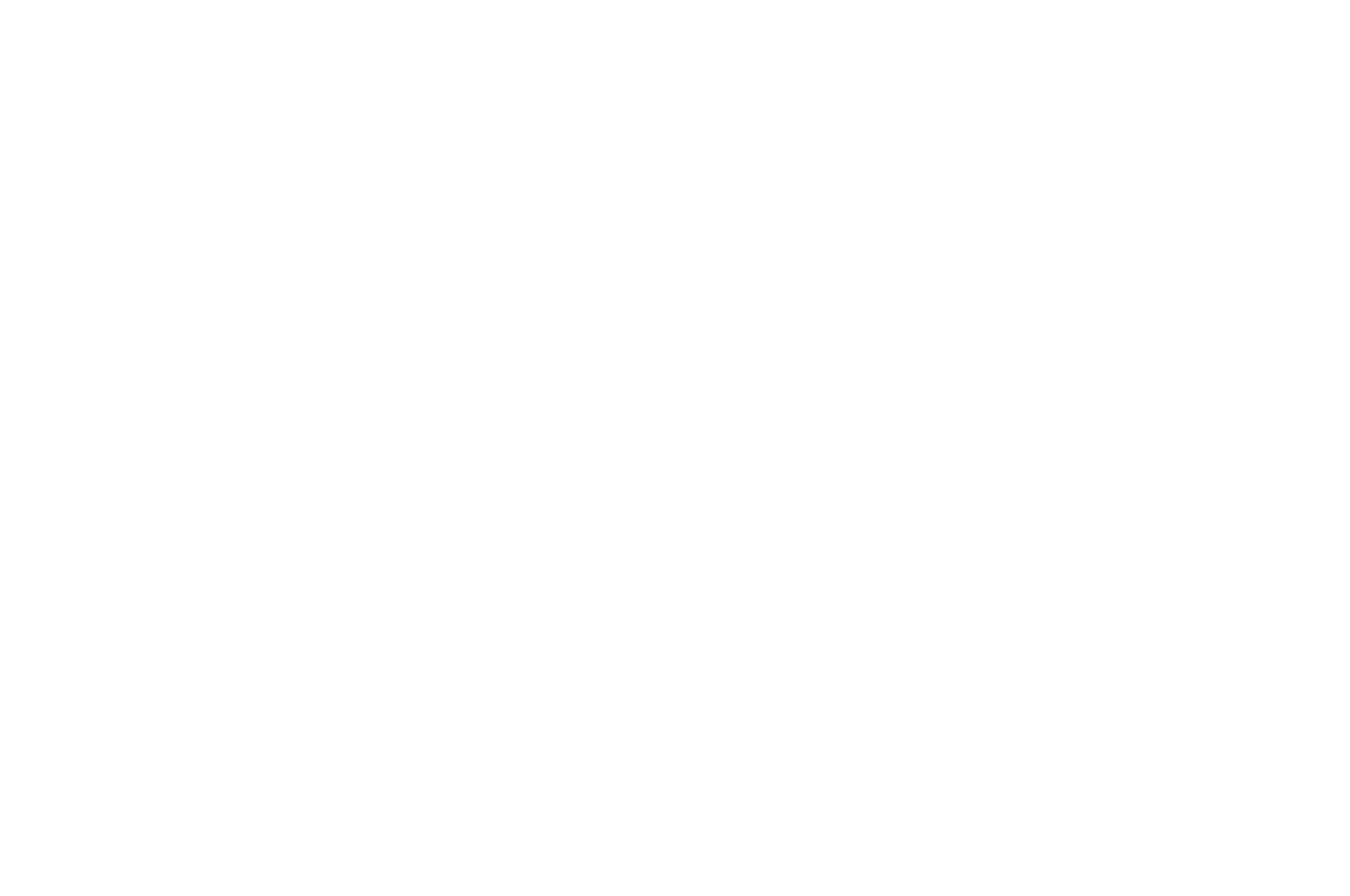 Festival Logo